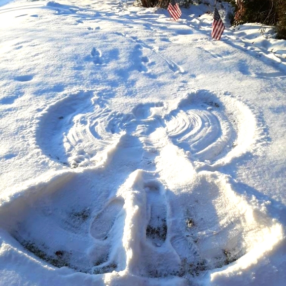 930pm LIVE!!! $5 & $8 starts share tray open ππ₯π - Picture 14 of 16